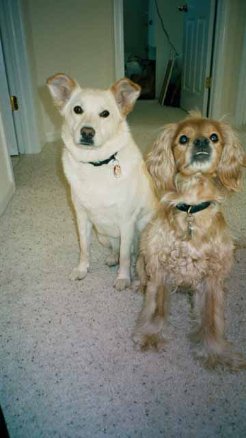 Bink and Chelsea hanging out